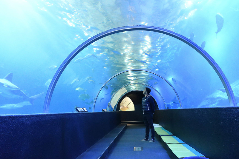 日本で初めて海中公園として指定された「串本海中公園」。水族館は、串本に生息する生物を集めているゾーンやトンネル大水槽、ウミガメプールなど多くの見どころがあり、絶滅した史上最大のウミガメ「アーケロン」の彫刻も展示されている。水族館から外に出ると沖合140mのところに海中展望塔が設けられていて、実際に串本の海を見渡せる。展望台からは餌やりもでき、驚くほど多くのグレ（メジナ）が集まってきた