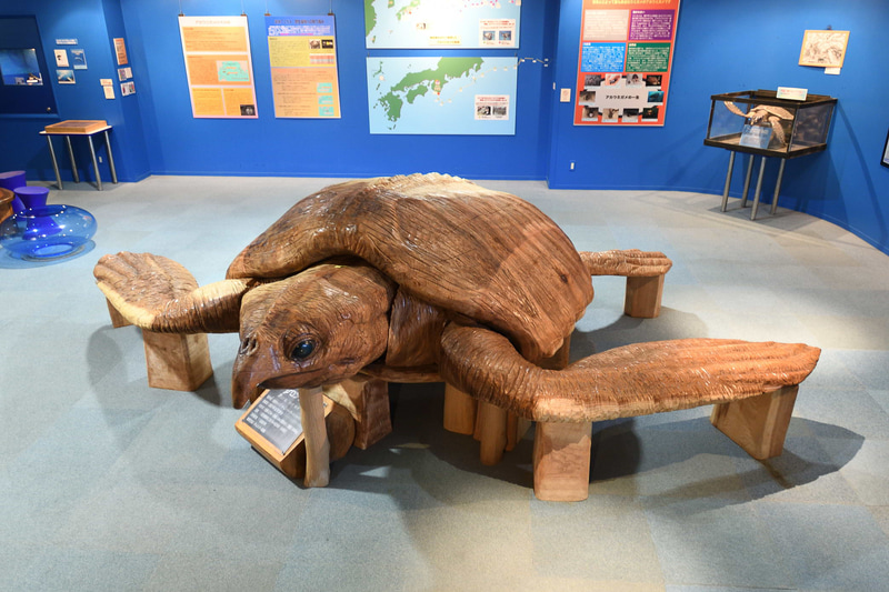 日本で初めて海中公園として指定された「串本海中公園」。水族館は、串本に生息する生物を集めているゾーンやトンネル大水槽、ウミガメプールなど多くの見どころがあり、絶滅した史上最大のウミガメ「アーケロン」の彫刻も展示されている。水族館から外に出ると沖合140mのところに海中展望塔が設けられていて、実際に串本の海を見渡せる。展望台からは餌やりもでき、驚くほど多くのグレ（メジナ）が集まってきた