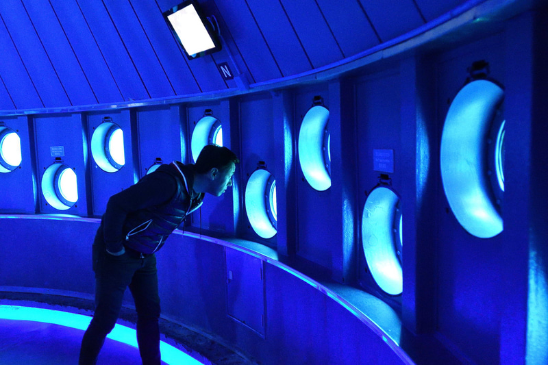 日本で初めて海中公園として指定された「串本海中公園」。水族館は、串本に生息する生物を集めているゾーンやトンネル大水槽、ウミガメプールなど多くの見どころがあり、絶滅した史上最大のウミガメ「アーケロン」の彫刻も展示されている。水族館から外に出ると沖合140mのところに海中展望塔が設けられていて、実際に串本の海を見渡せる。展望台からは餌やりもでき、驚くほど多くのグレ（メジナ）が集まってきた