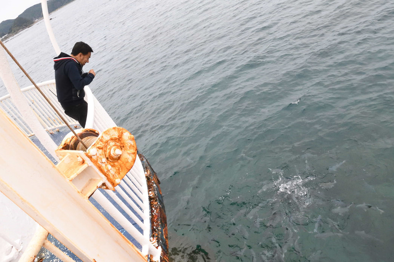 日本で初めて海中公園として指定された「串本海中公園」。水族館は、串本に生息する生物を集めているゾーンやトンネル大水槽、ウミガメプールなど多くの見どころがあり、絶滅した史上最大のウミガメ「アーケロン」の彫刻も展示されている。水族館から外に出ると沖合140mのところに海中展望塔が設けられていて、実際に串本の海を見渡せる。展望台からは餌やりもでき、驚くほど多くのグレ（メジナ）が集まってきた