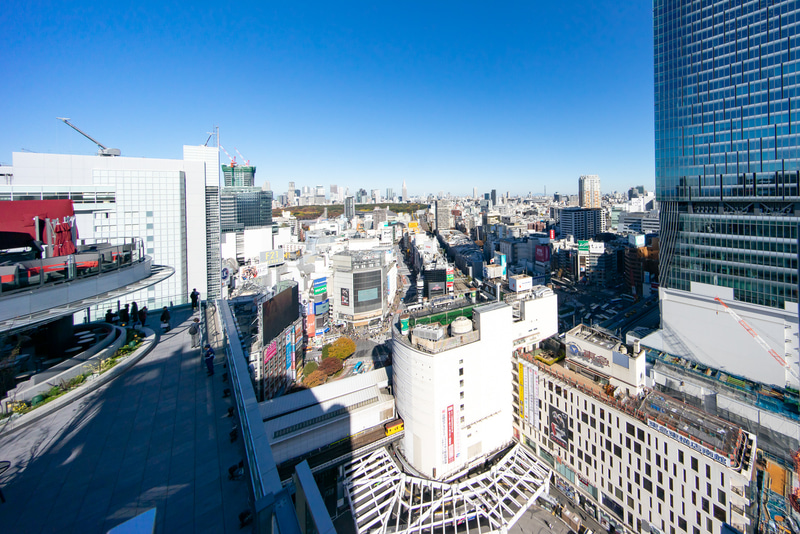 SHIBU NIWAからの渋谷の眺望