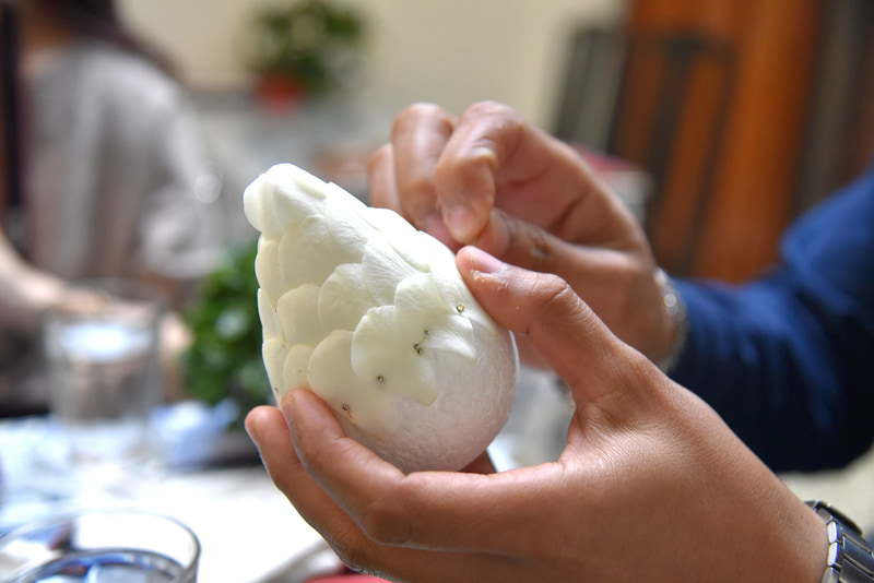 次第に蓮のつぼみらしい見た目になってきた