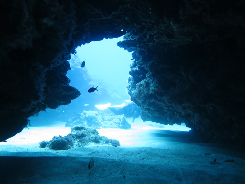 スカイマークの成田～サイパン線初便でダイビング天国サイパンに行ってみた