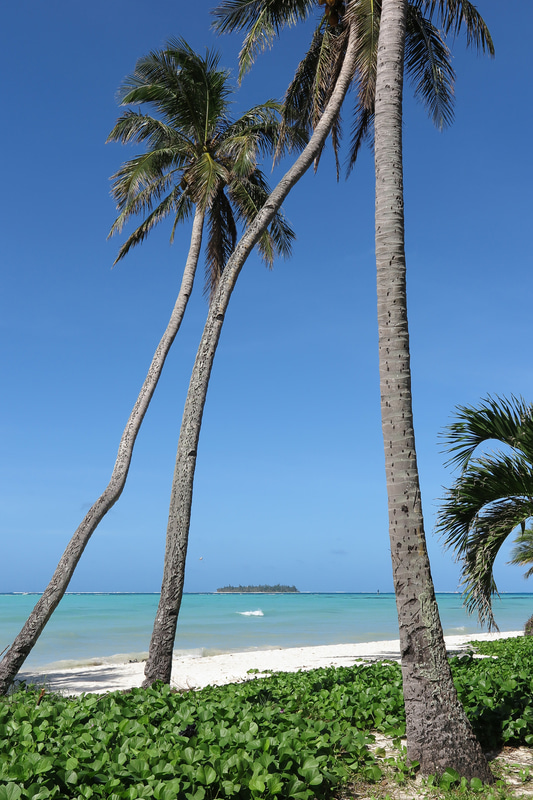 ガラパン地区のホテルの前に広がるマイクロビーチからの眺め。サイパンの大型リゾートホテルはほとんどがオーシャンフロントで、夕日も素晴らしい