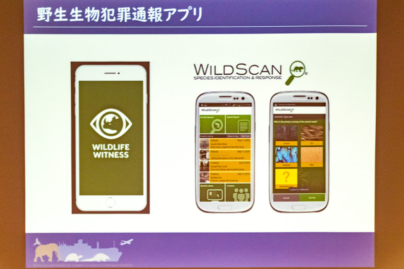 探知/通報につながる取り組みの例示。国内でも環境省とNTTドコモが連携して、写真からカメの種を識別する実証実験がスタートしている（写真右）