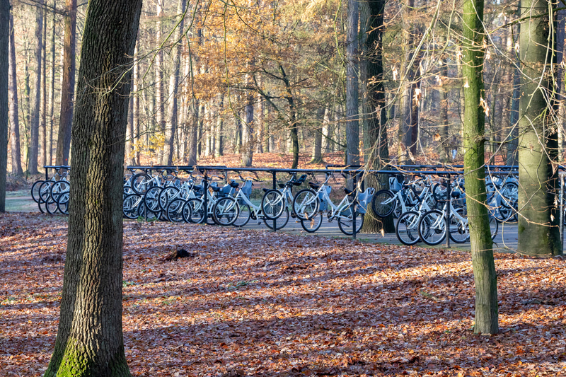 国立公園では無料で白い自転車が貸し出されている。写真のようにハンドブレーキがないタイプなので、止まる練習をしてから走り出すのが無難