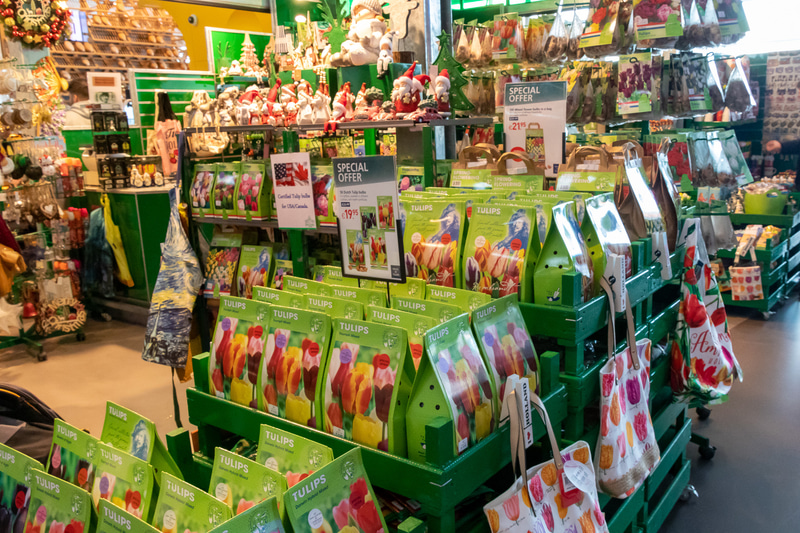 オランダらしいチューリップの球根が並ぶショップ