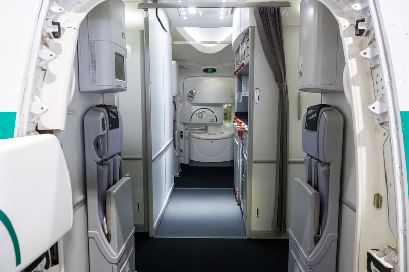 L2（左側2番目）ドアから機内を覗う