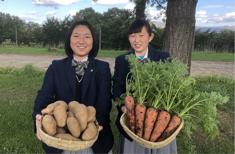 北海道で農業を学ぶ高校生が作った野菜を使用。左上から順に、北海道留寿都高等学校、北海道遠別農業高等学校、北海道大野農業高等学校、北海道倶知安農業高等学校、北海道美幌高等学校での収穫の様子