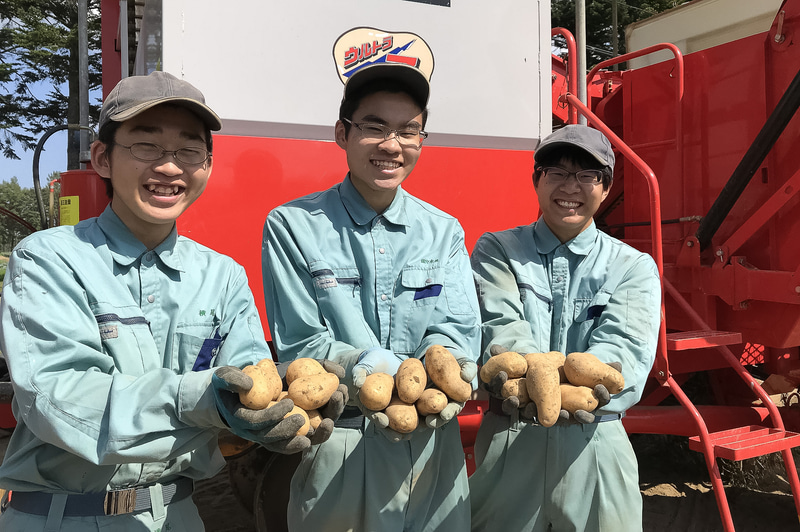 北海道で農業を学ぶ高校生が作った野菜を使用。左上から順に、北海道留寿都高等学校、北海道遠別農業高等学校、北海道大野農業高等学校、北海道倶知安農業高等学校、北海道美幌高等学校での収穫の様子