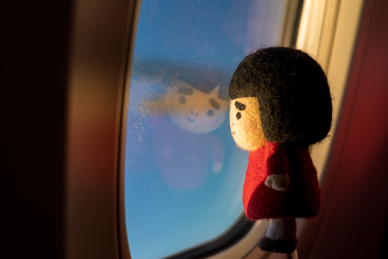 窓の外が一気に明るくなっていよいよ初日の出の瞬間