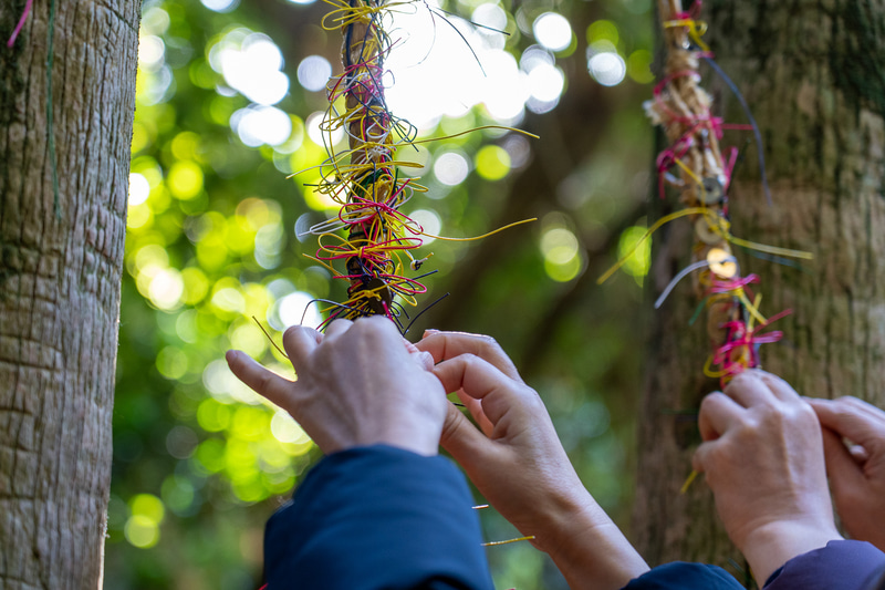 願いが解けないようにしっかりと！