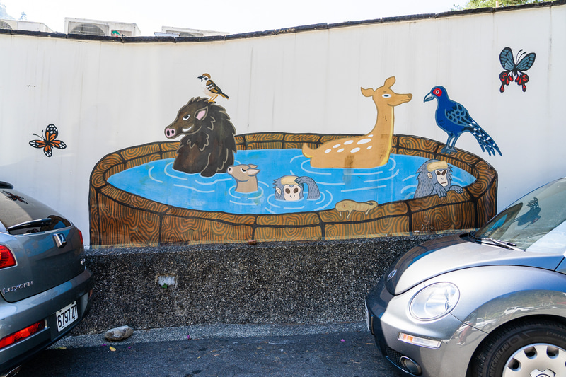 温泉大好きは人も動物も万国共通