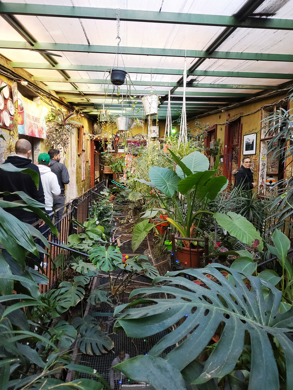 Szimpla Kert