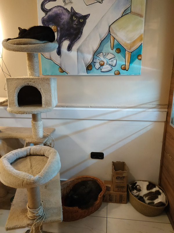 Cat Cafe