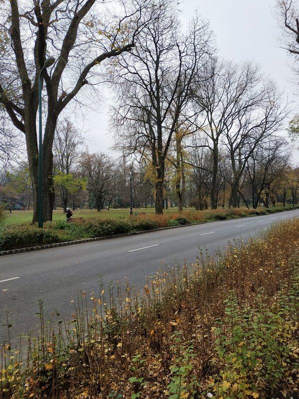 パラティヌス温泉（Palatinus Strandfürdő）