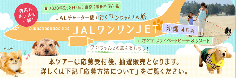 愛犬と飛行機の客室内で一緒に過ごせる往復チャーター便を利用したツアー「JALワンワンJET 沖縄4日間」を発売した