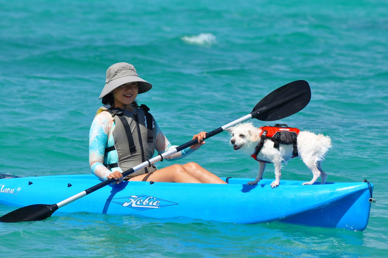 犬も遊泳可能なエリアでマリンアクティビティを楽しめる