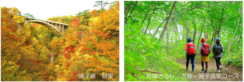 「E-NEXCO LODGE 長者原SA店」の周辺環境