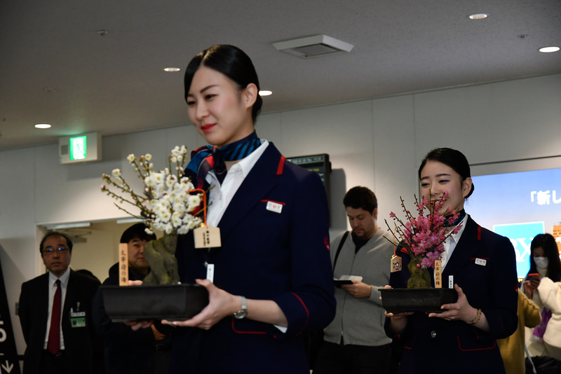 梅鉢はグランドスタッフが機内へ運び入れる