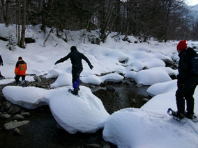 スノーシューイメージ2