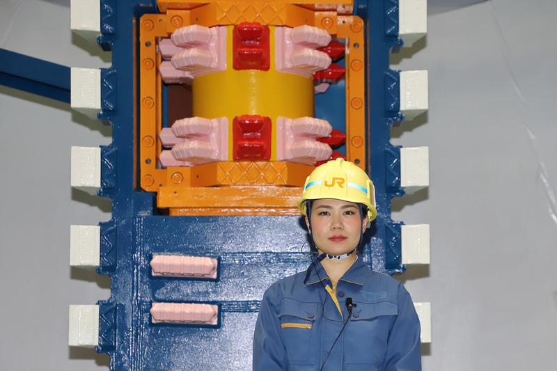 人物との大きさ比較