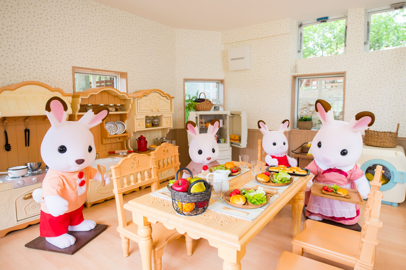 赤い屋根の大きなお家内部