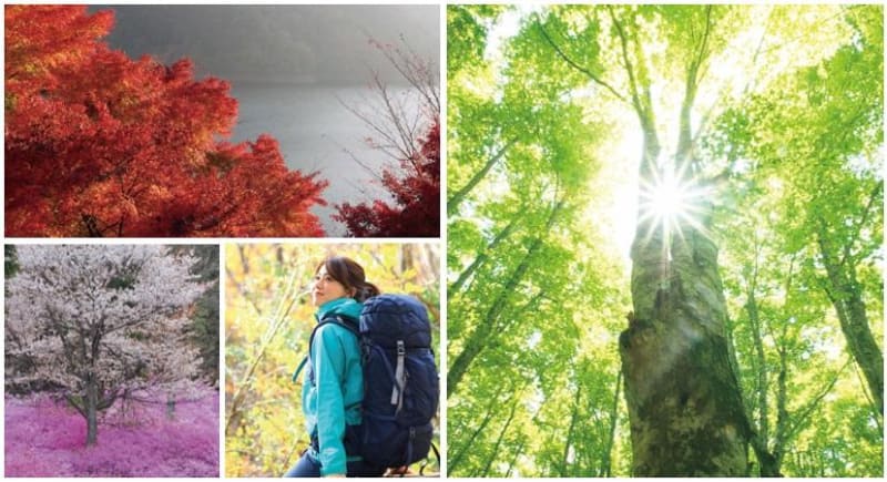 山と溪谷社は山のスタンプラリーアプリ「ヤマスタ」で「東京多摩ハイク スタンプラリー」を実施する