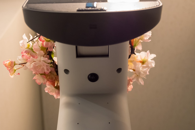 今回のサービス実証では足下カメラの活用もポイントとなっている