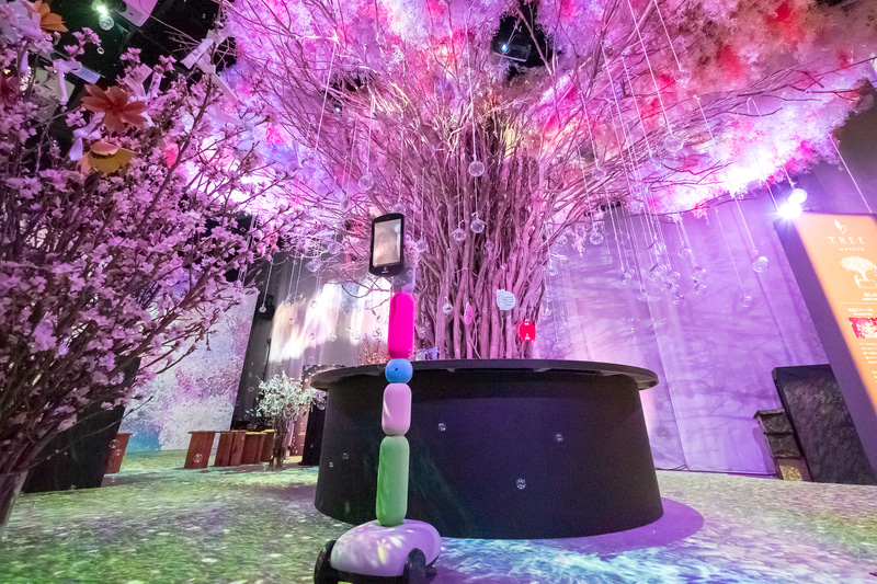 プラン「日本一早いお花見」。「OUSAI Garden」内を動き回れる