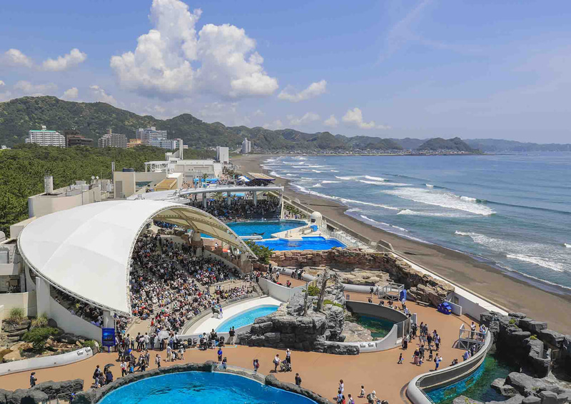 鴨川シーワールドは鴨川市のふるさと納税返礼品として年間パスポートの提供を開始した