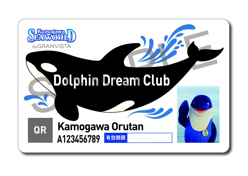 鴨川シーワールドの年間パスポートでは園内での割引や特別イベント参加、誕生日特典などのさまざまな特典が受けられる