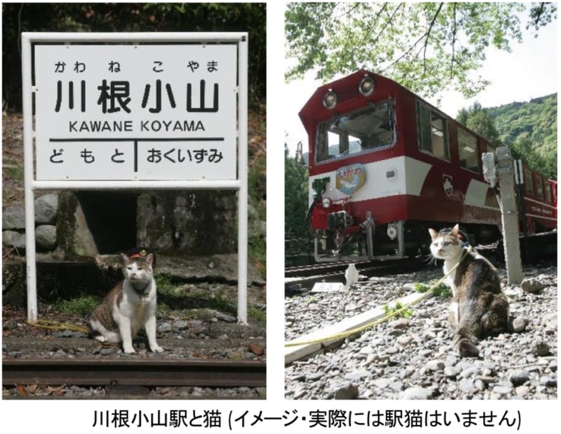 大井川鐵道は2月22日猫の日から「川根小山駅」を「川猫山駅」として“ねこ駅”化する