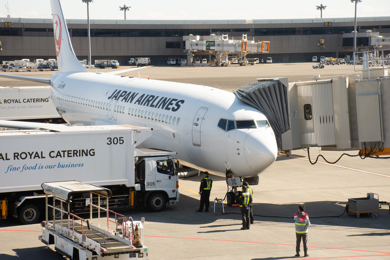 駐機場で出発を待つJL423便（ボーイング 737-800型機）