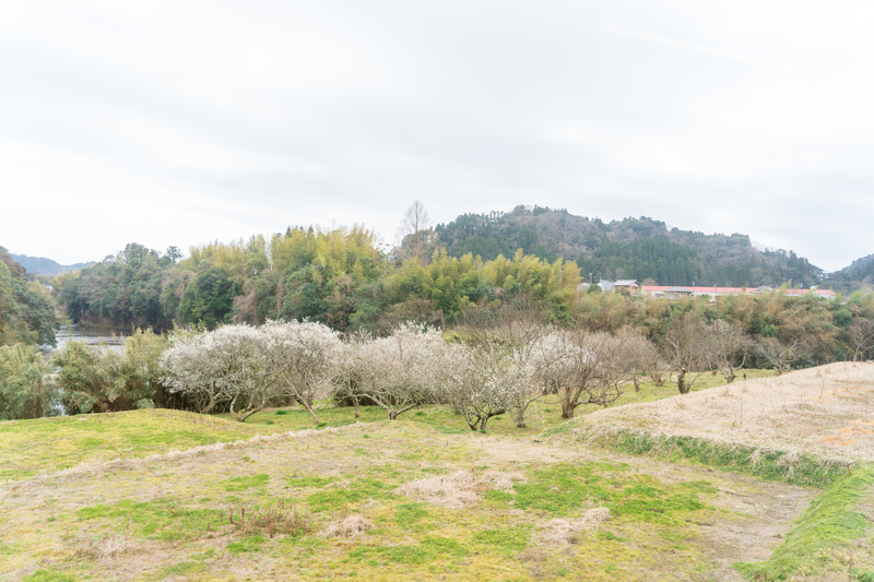 沿線はのどかな里山の風景が続きます