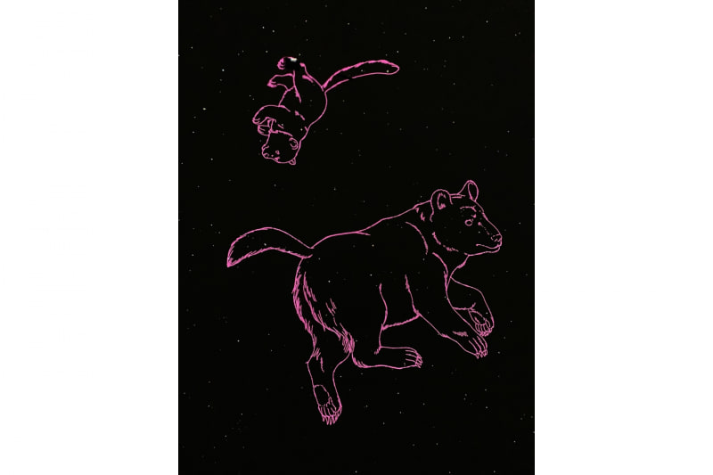 細谷佳正の星空案内【春】