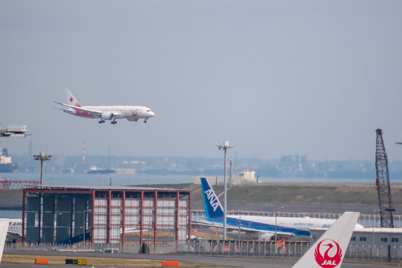 到着後、JAL格納庫の前で「みんなのJAL2020ジェット」と並んで駐機