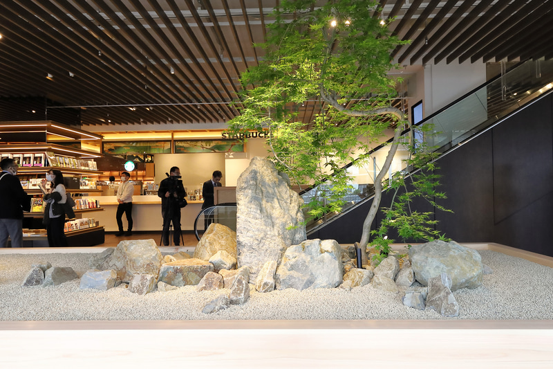 プラントハンター西畠清順氏による「植栽」。内容は定期的に変更されるという