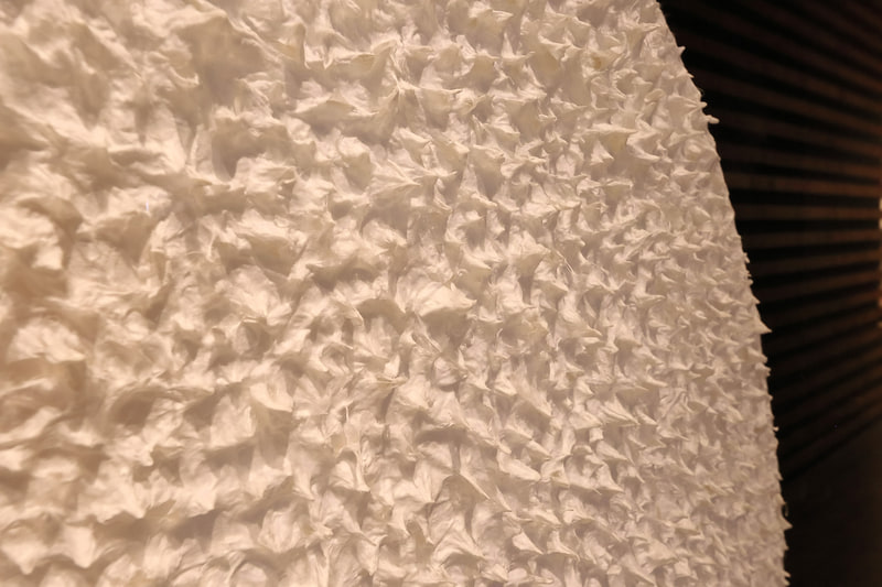 人間国宝だった祖父から和紙の極薄手漉き技術を兄弟で伝承したという浜田兄弟の作品