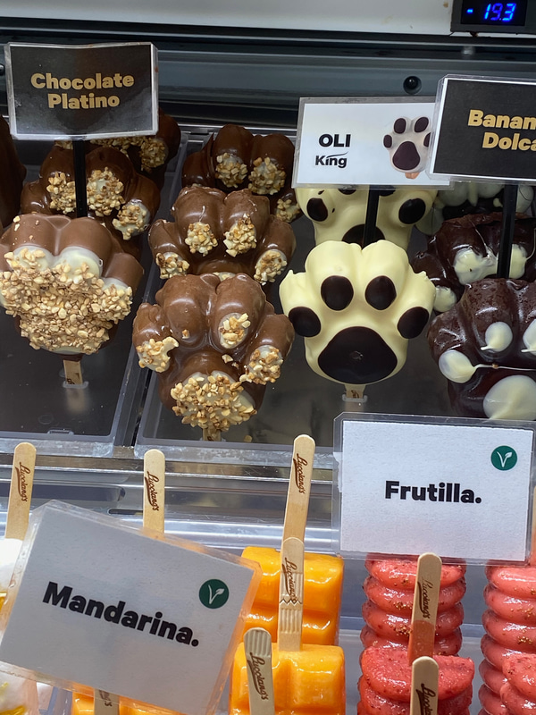 犬を飼っている人が多いブエノスアイレスらしいアイス