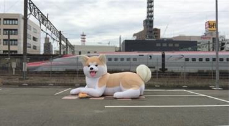 秋田県バルーン