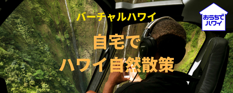「バーチャルハワイ」「癒しのハワイ」「学ぶハワイ」「音楽でハワイ」「映画でハワイ」「読み物ハワイ」の6つのカテゴリーを設けて、さまざまなハワイの魅力を発信