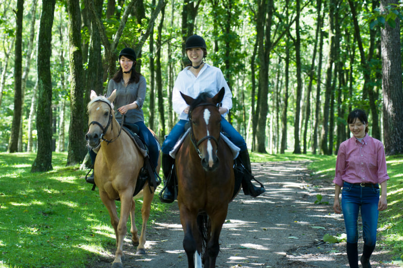 ホーストレッキング