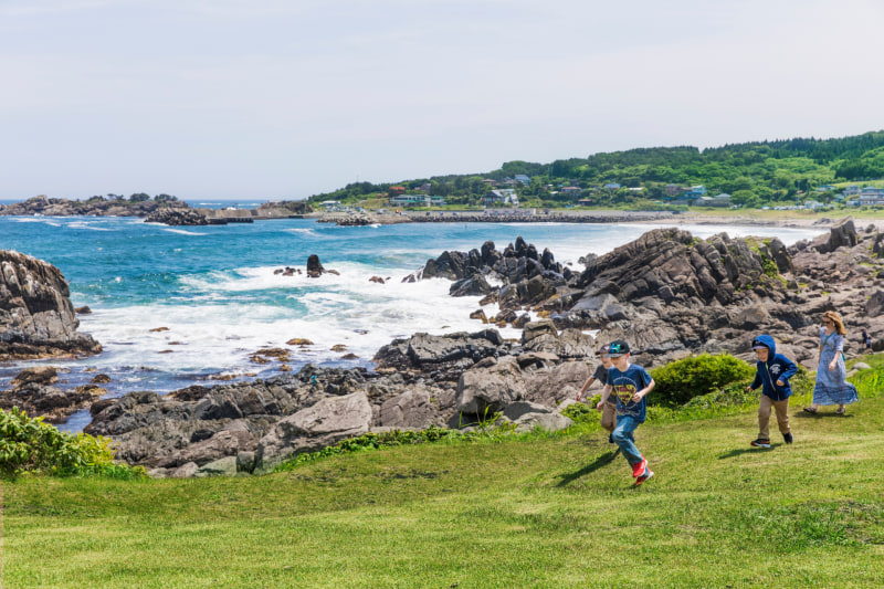 三陸復興国立公園種差海岸（提供：VISITはちのへ）