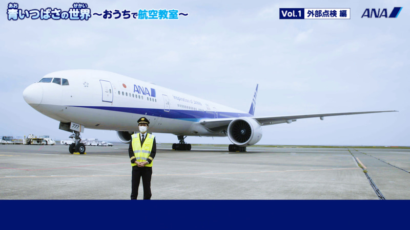 ANAグループが自宅で楽しめるコンテンツ「ANAグループのココロのつばさ for STAY HOME」を公開した