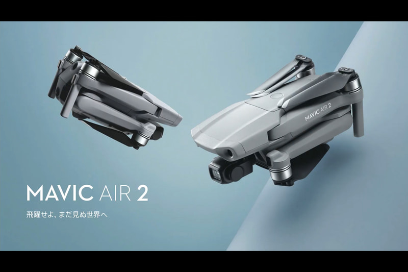 皆川氏が示したスライド