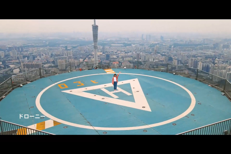 皆川氏が示したスライド