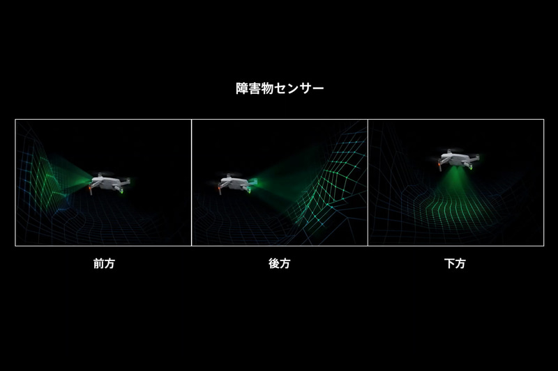 皆川氏が示したスライド