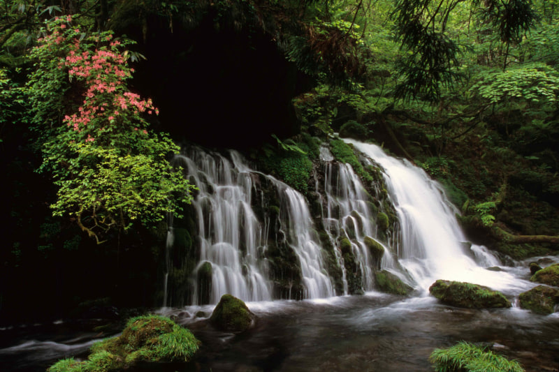 秋田県 元滝伏流水