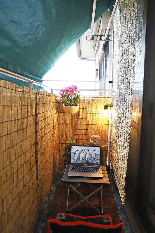 オーニングを引き出して画面が見やすい明るさにすることも可能